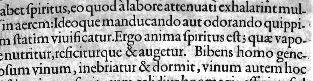 An illustration from De sensu rerum et magia libri quatuor, 1620, leaf 81