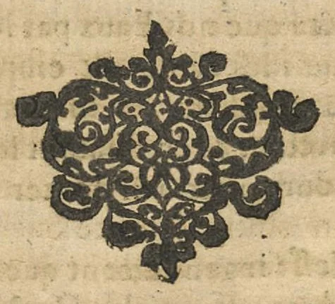 An illustration from Traitté des eaux minerales du Vivarez, 1657, leaf 101