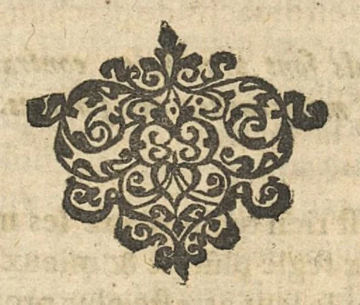 An illustration from Traitté des eaux minerales du Vivarez, 1657, leaf 125