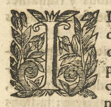 An illustration from Traitté des eaux minerales du Vivarez, 1657, leaf 28