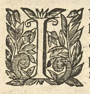 An illustration from Traitté des eaux minerales du Vivarez, 1657, leaf 61