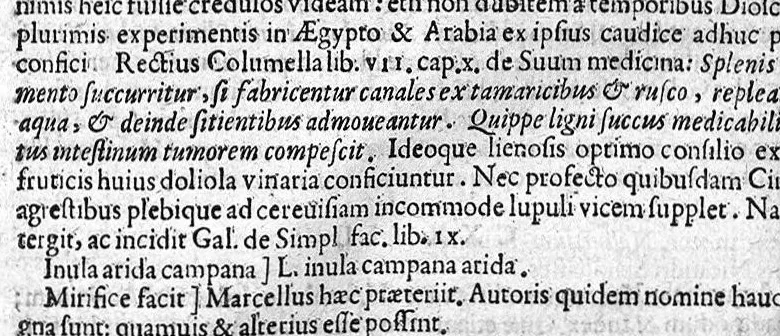 An illustration from Scriboni Largi Compositiones Medicae. Johannes Rhodius recensuit, Notis illustravit, Lexicon scribonianum adjecit., 1655, leaf 373