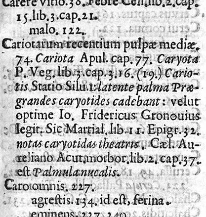 An illustration from Scriboni Largi Compositiones Medicae. Johannes Rhodius recensuit, Notis illustravit, Lexicon scribonianum adjecit., 1655, leaf 530