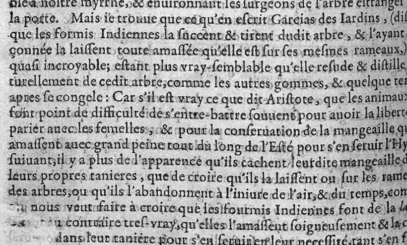 An illustration from Le grand dispensaire medicinal, trad. De latin en François par Loys de Serres, 1624, leaf 481