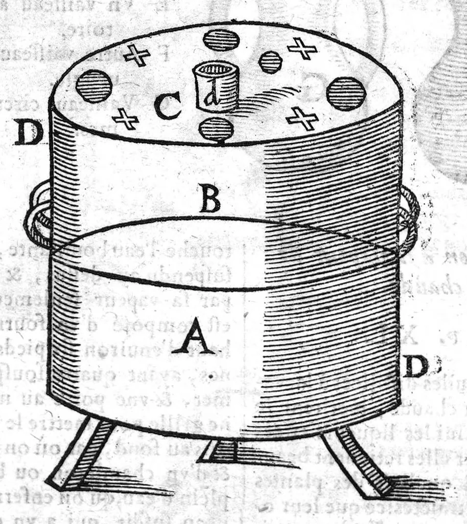 An illustration from Le grand dispensaire ou thresor general et particulier des preservatifs ramasse et brisé par Ian Jacques Wecker... le tout par Ian Du Val D.M. d'Yssouldun, 1609, leaf 123