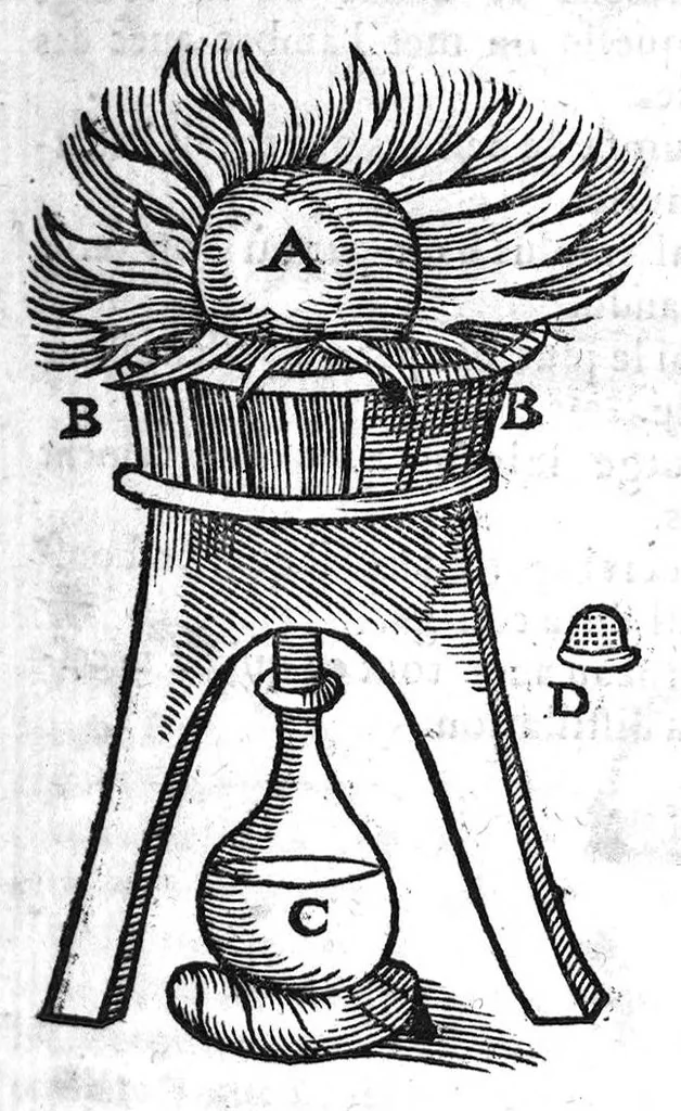 An illustration from Le grand dispensaire ou thresor general et particulier des preservatifs ramasse et brisé par Ian Jacques Wecker... le tout par Ian Du Val D.M. d'Yssouldun, 1609, leaf 134