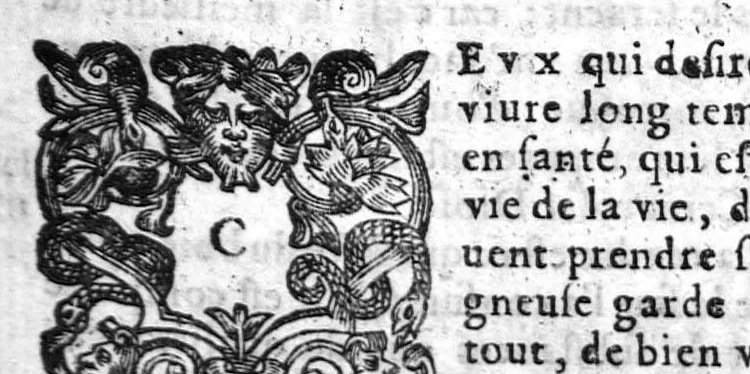 An illustration from Le grand dispensaire ou thresor general et particulier des preservatifs ramasse et brisé par Ian Jacques Wecker... le tout par Ian Du Val D.M. d'Yssouldun, 1609, leaf 176
