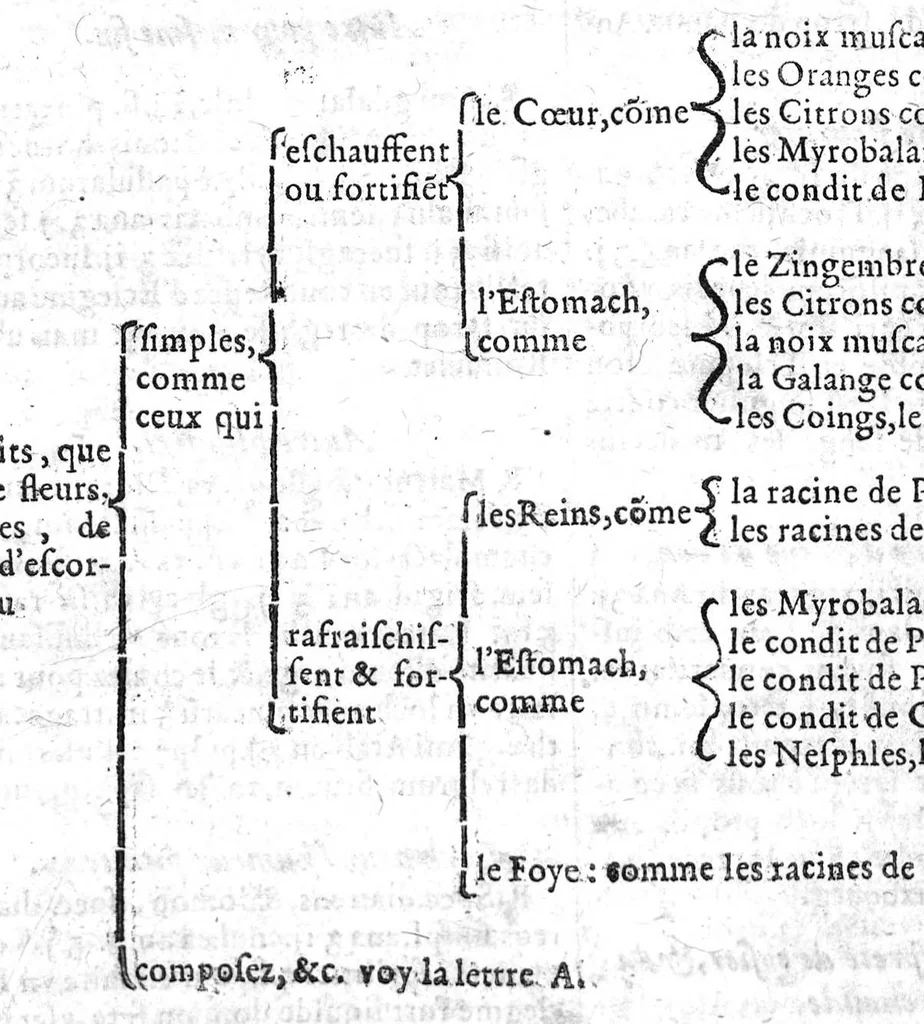 An illustration from Le grand dispensaire ou thresor general et particulier des preservatifs ramasse et brisé par Ian Jacques Wecker... le tout par Ian Du Val D.M. d'Yssouldun, 1609, leaf 663