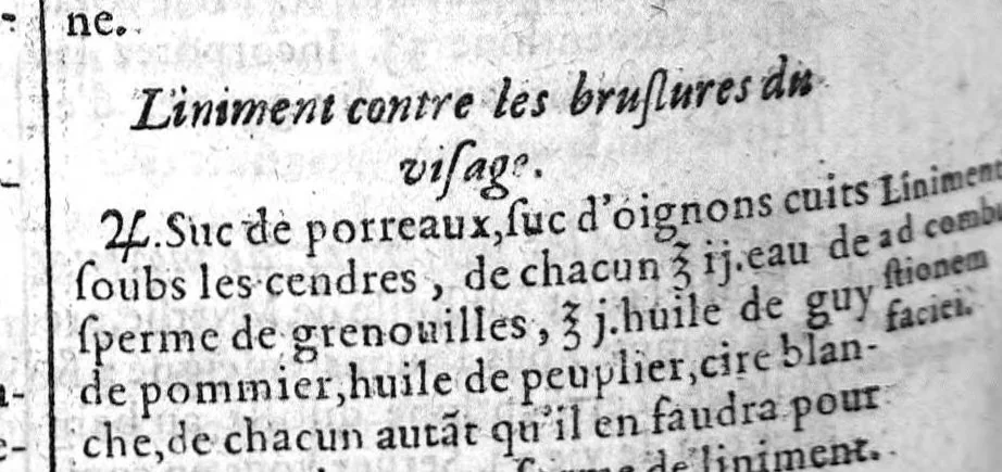 An illustration from Le grand dispensaire ou thresor general et particulier des preservatifs ramasse et brisé par Ian Jacques Wecker... le tout par Ian Du Val D.M. d'Yssouldun, 1609, leaf 681