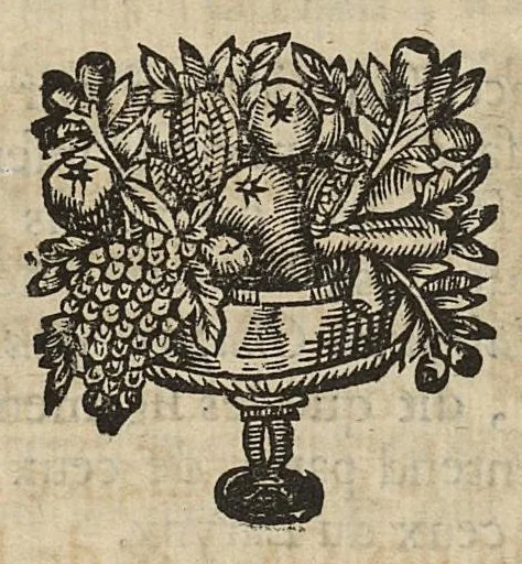 An illustration from L'Oeconomie chirurgicale, pour le r'habillement des os du corps humain contenant l'ostéologie, la nososreologie, l'apocatastosteologie, & le Traitté des bandages, 1671, leaf 186