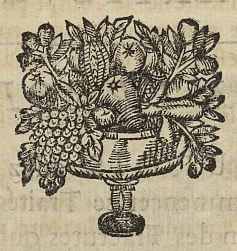 An illustration from L'Oeconomie chirurgicale, pour le r'habillement des os du corps humain contenant l'ostéologie, la nososreologie, l'apocatastosteologie, & le Traitté des bandages, 1671, leaf 206