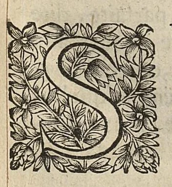 An illustration from L'Oeconomie chirurgicale, pour le r'habillement des os du corps humain contenant l'ostéologie, la nososreologie, l'apocatastosteologie, & le Traitté des bandages, 1671, leaf 243