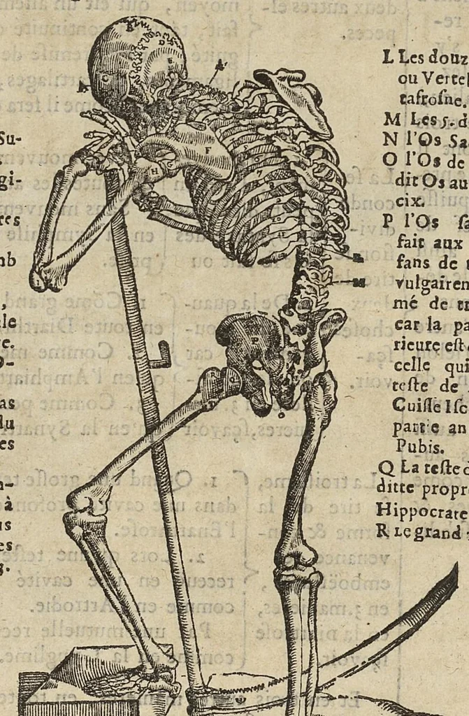 An illustration from L'Oeconomie chirurgicale, pour le r'habillement des os du corps humain contenant l'ostéologie, la nososreologie, l'apocatastosteologie, & le Traitté des bandages, 1671, leaf 54