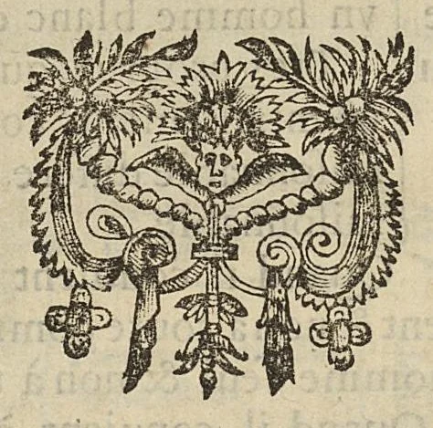 An illustration from L'Oeconomie chirurgicale, pour le r'habillement des os du corps humain contenant l'ostéologie, la nososreologie, l'apocatastosteologie, & le Traitté des bandages, 1671, leaf 568