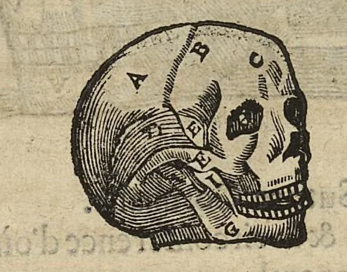 An illustration from L'Oeconomie chirurgicale, pour le r'habillement des os du corps humain contenant l'ostéologie, la nososreologie, l'apocatastosteologie, & le Traitté des bandages, 1671, leaf 58