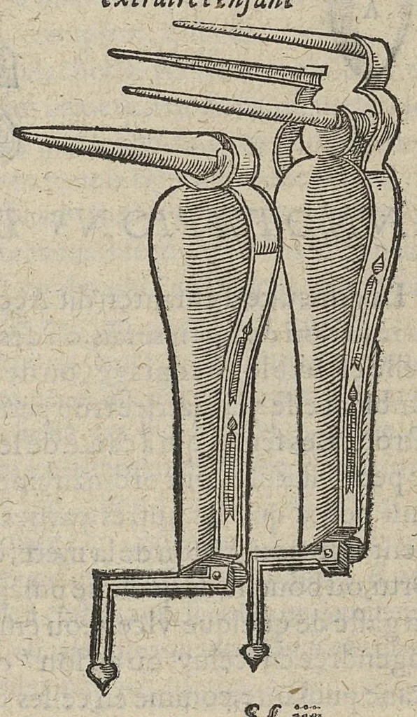 An illustration from Chirurgie françoise ... avec plusieurs figures des instrumens nécessaires pour l'opération manuelle, 1610, leaf 350