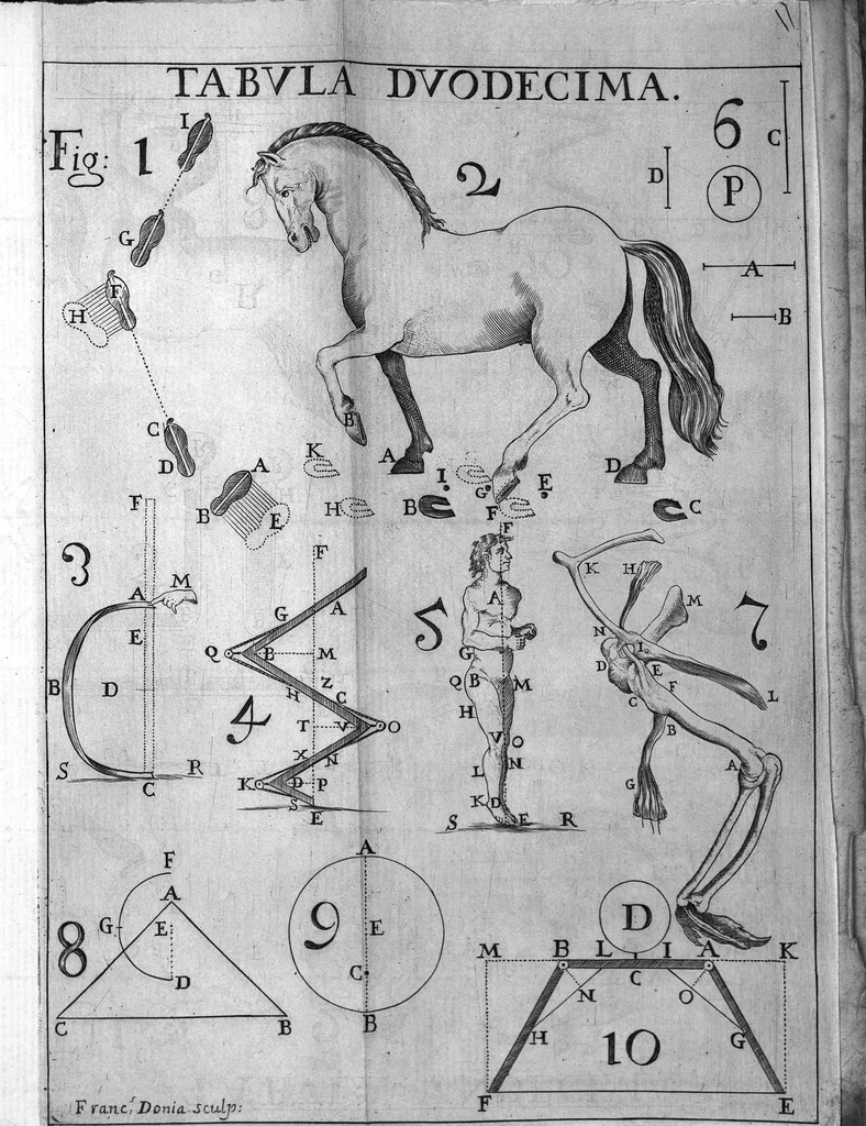 An illustration from De Motu animalium, Jo. Alphonsi Borelli,... opus posthumum. Pars prima, 1680, leaf 422