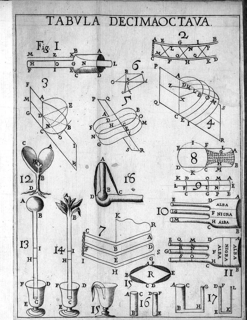 An illustration from De Motu animalium, Jo. Alphonsi Borelli,... opus posthumum. Pars altera, 1681, leaf 530