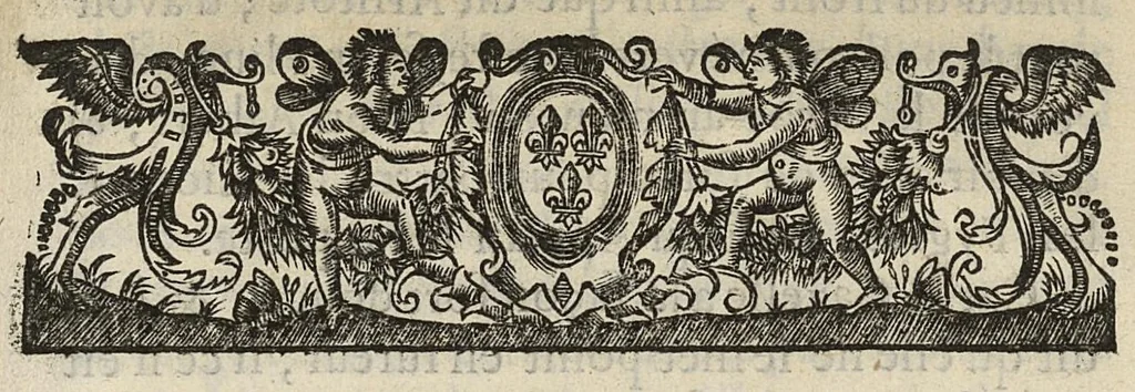 An illustration from Description anatomique d'un cameleon, d'un castor, d'un dromadaire, d'un ours, et d'une gazelle, 1669, leaf 116