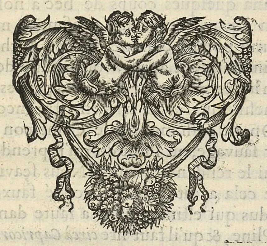 An illustration from Description anatomique d'un cameleon, d'un castor, d'un dromadaire, d'un ours, et d'une gazelle, 1669, leaf 51