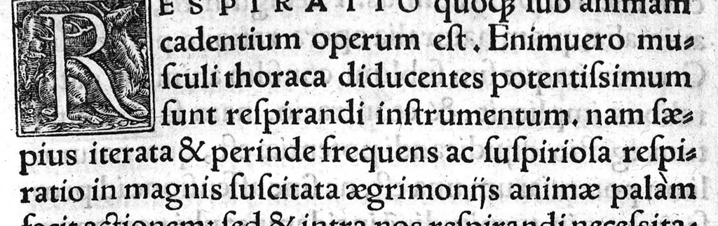 An illustration from Nemesii Philosophi clarissimi de Natura hominis liber utilisssimus. Georgio Valla placentino interprete, 1538, leaf 121