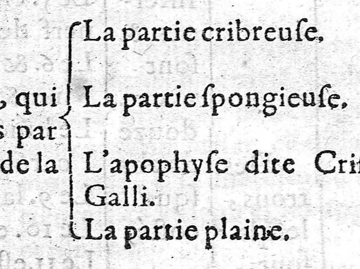 An illustration from Alphabet anatomic auquel est contenue l'explication exacte des parties du corps humain réduites en table selon l'ordre de dissection ordinaire. Avec l’osteologie et plusieurs observations particulieres, par Barthelemy Cabrol, anatomiste de l’Université de Montpelier, Chirurgien du Roy, et de Monseigneur le Duc de Montmorancy,, 1594, leaf 24