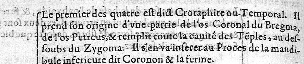 An illustration from Alphabet anatomic auquel est contenue l'explication exacte des parties du corps humain réduites en table selon l'ordre de dissection ordinaire. Avec l’osteologie et plusieurs observations particulieres, par Barthelemy Cabrol, anatomiste de l’Université de Montpelier, Chirurgien du Roy, et de Monseigneur le Duc de Montmorancy,, 1594, leaf 73