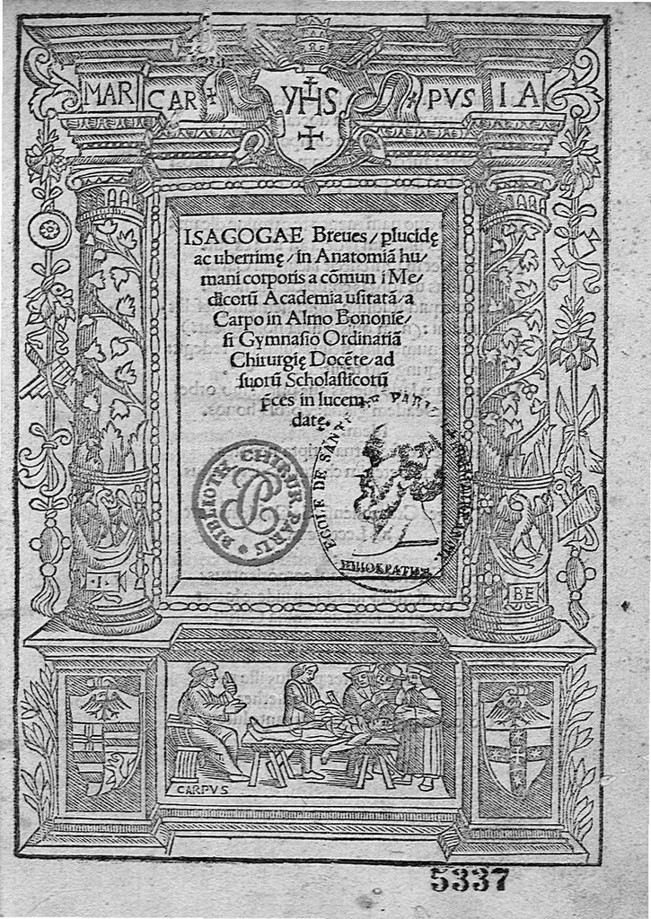 An illustration from Isagogae breves perlucidae ac uberrimae in anatomiam humani corporis a communi medicorum academia usitatam, a Carpo, in almo Bononiensi Gymnasio ordinariam chirurgiae docente, ad suorum scholasticorum preces in lucem datae, 1523, leaf 0