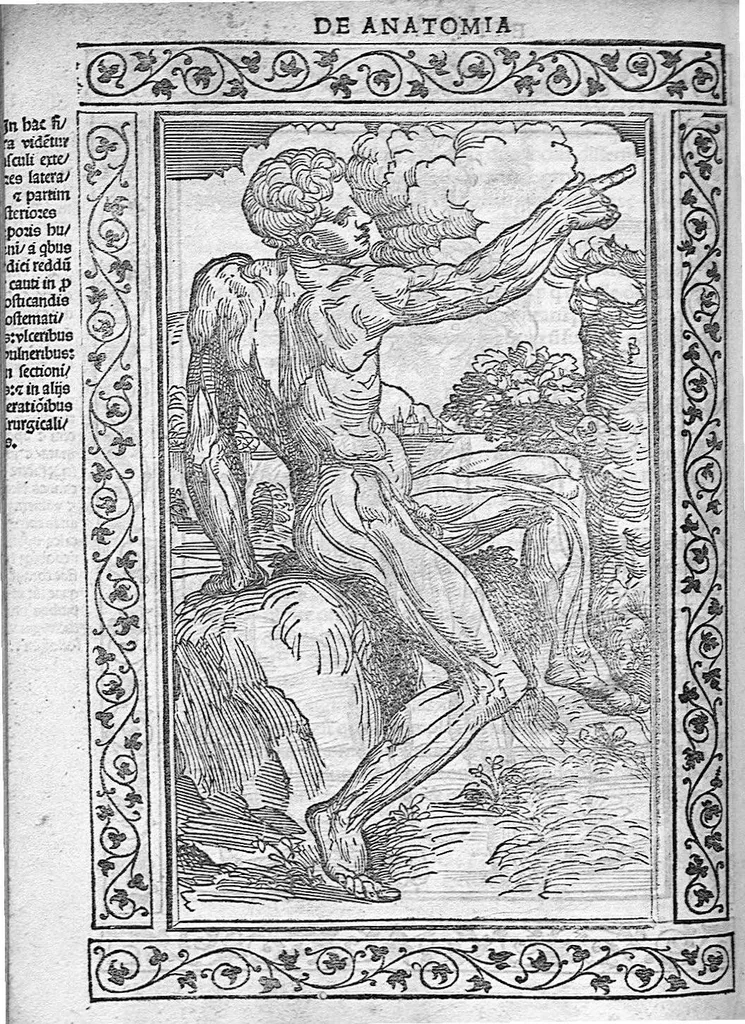 An illustration from Isagogae breves perlucidae ac uberrimae in anatomiam humani corporis a communi medicorum academia usitatam, a Carpo, in almo Bononiensi Gymnasio ordinariam chirurgiae docente, ad suorum scholasticorum preces in lucem datae, 1523, leaf 131
