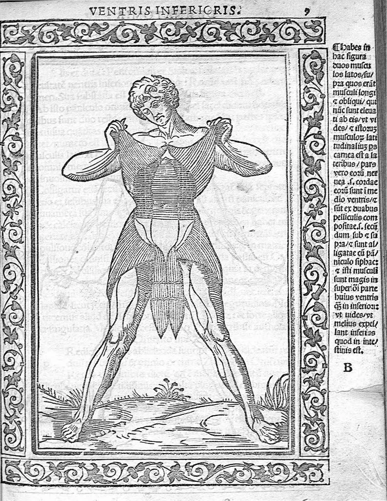An illustration from Isagogae breves perlucidae ac uberrimae in anatomiam humani corporis a communi medicorum academia usitatam, a Carpo, in almo Bononiensi Gymnasio ordinariam chirurgiae docente, ad suorum scholasticorum preces in lucem datae, 1523, leaf 16