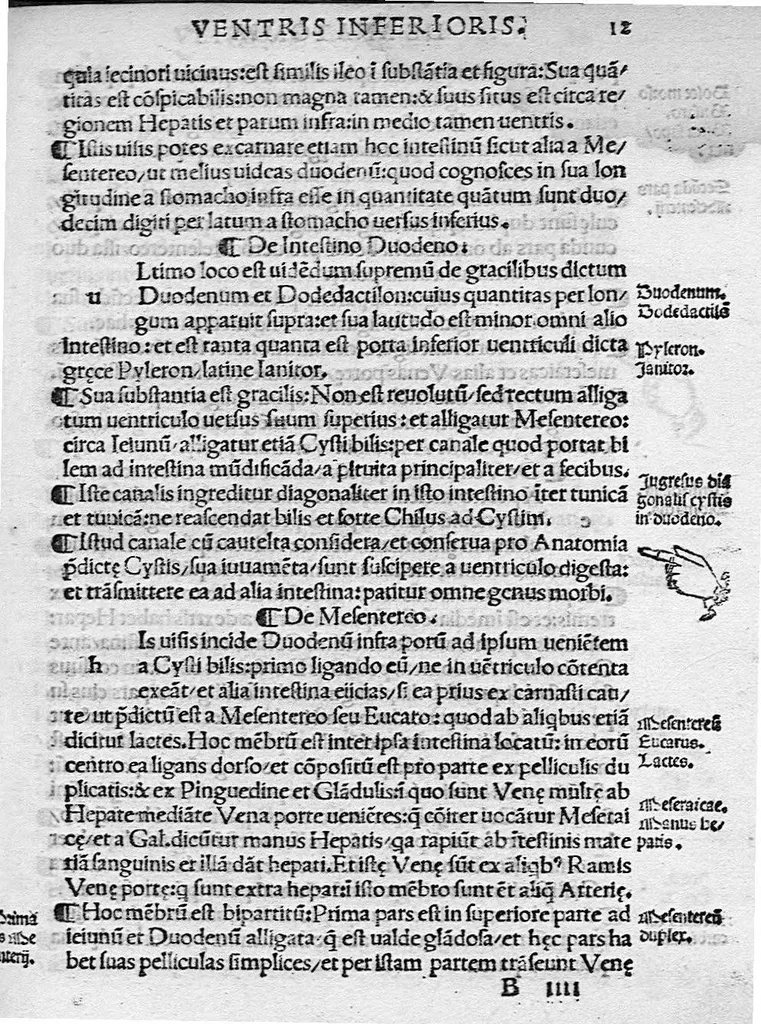 An illustration from Isagogae breves perlucidae ac uberrimae in anatomiam humani corporis a communi medicorum academia usitatam, a Carpo, in almo Bononiensi Gymnasio ordinariam chirurgiae docente, ad suorum scholasticorum preces in lucem datae, 1523, leaf 22