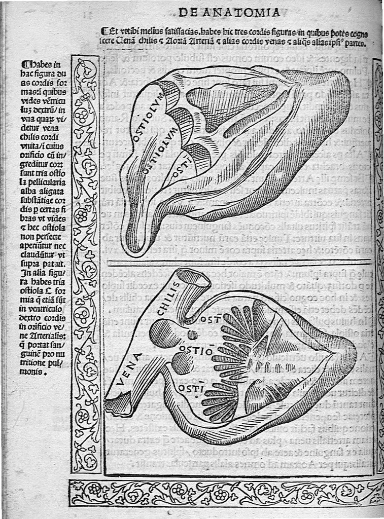 An illustration from Isagogae breves perlucidae ac uberrimae in anatomiam humani corporis a communi medicorum academia usitatam, a Carpo, in almo Bononiensi Gymnasio ordinariam chirurgiae docente, ad suorum scholasticorum preces in lucem datae, 1523, leaf 53