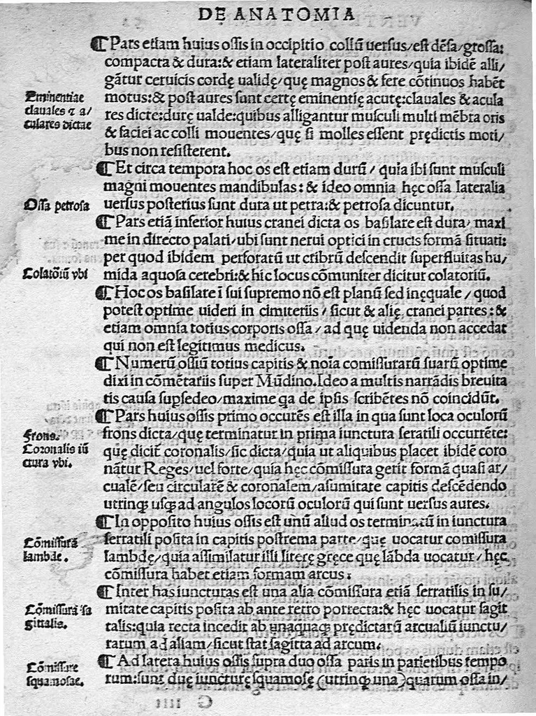 An illustration from Isagogae breves perlucidae ac uberrimae in anatomiam humani corporis a communi medicorum academia usitatam, a Carpo, in almo Bononiensi Gymnasio ordinariam chirurgiae docente, ad suorum scholasticorum preces in lucem datae, 1523, leaf 95