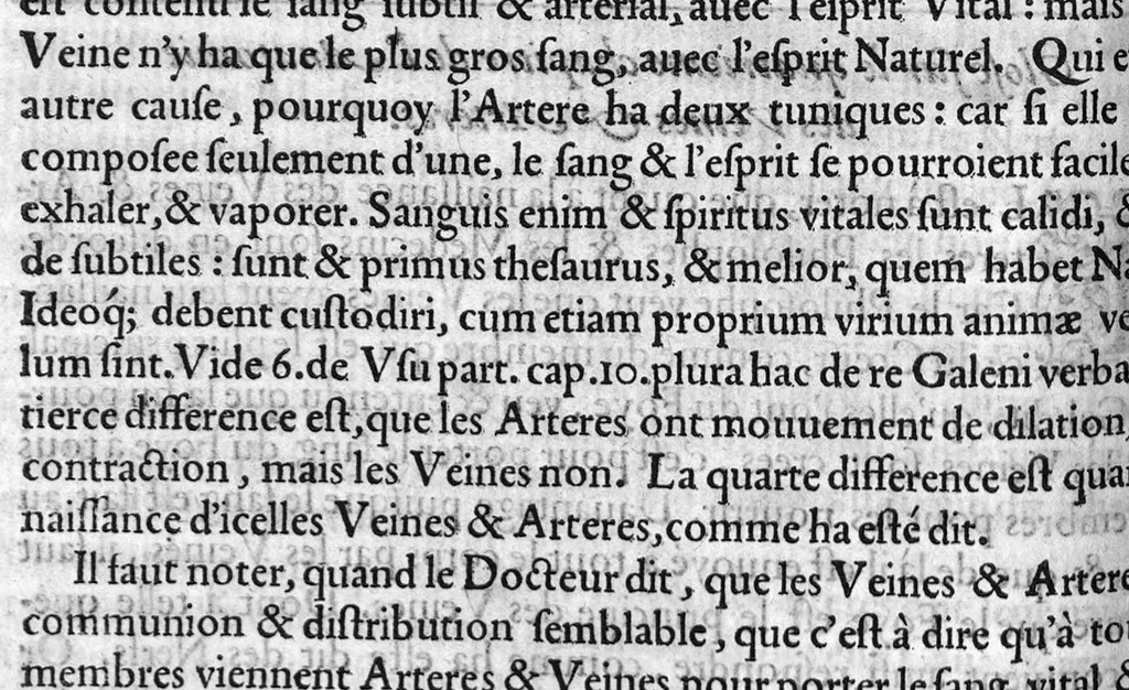 An illustration from Notabilia supra Guidonem scripta, aucta, recognita, ab excellenti Medicinae dilucidatore Domino Joanne Falcone, Montispessulanae Academiae Decano. Quae cum a multis antehac et typographis, et invidis depravata fuerint, ita ut falsa pro veris supposita, sed vera pro falsis, et utilia pro inutilibus perniciose substracta sint : nunc tamem ab omni labe repurgata, nec mediocri adhibita diligentia pristino nitori ac integritati restituta : imo vero additis duorum Medicinae luminum Hippocratis et Galeni, necnon Avicennae, Rhasis, Avenzoar, Mesuae, aliorumque insignium Medicorum autoritatibus illustrata sic recens in lucem emissa proferuntur, 1559, leaf 151