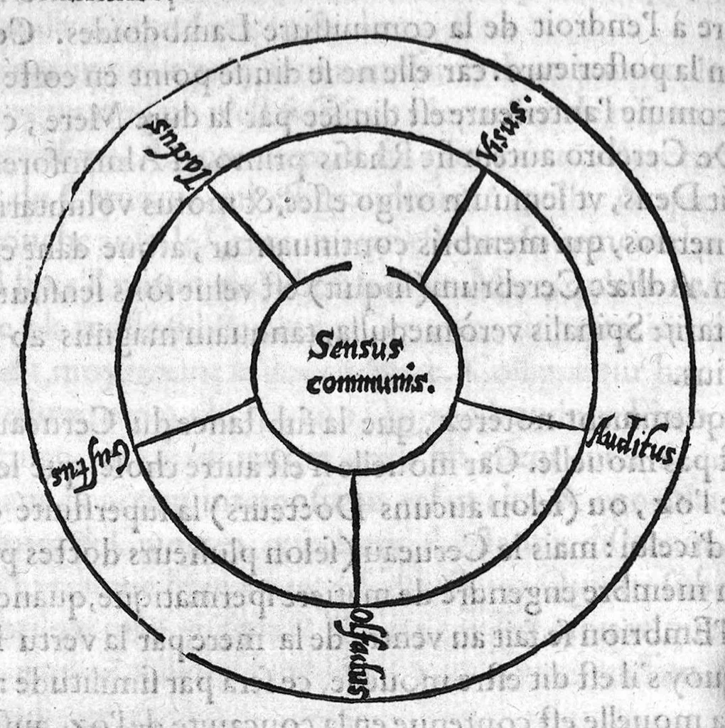 An illustration from Notabilia supra Guidonem scripta, aucta, recognita, ab excellenti Medicinae dilucidatore Domino Joanne Falcone, Montispessulanae Academiae Decano. Quae cum a multis antehac et typographis, et invidis depravata fuerint, ita ut falsa pro veris supposita, sed vera pro falsis, et utilia pro inutilibus perniciose substracta sint : nunc tamem ab omni labe repurgata, nec mediocri adhibita diligentia pristino nitori ac integritati restituta : imo vero additis duorum Medicinae luminum Hippocratis et Galeni, necnon Avicennae, Rhasis, Avenzoar, Mesuae, aliorumque insignium Medicorum autoritatibus illustrata sic recens in lucem emissa proferuntur, 1559, leaf 175