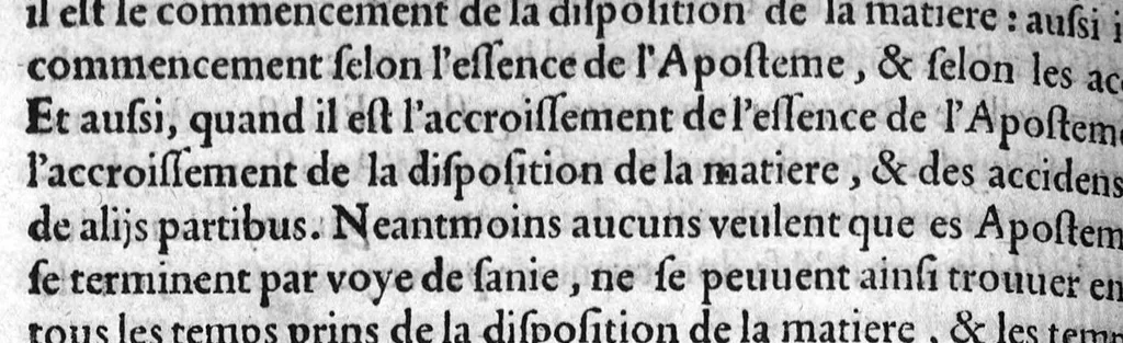 An illustration from Notabilia supra Guidonem scripta, aucta, recognita, ab excellenti Medicinae dilucidatore Domino Joanne Falcone, Montispessulanae Academiae Decano. Quae cum a multis antehac et typographis, et invidis depravata fuerint, ita ut falsa pro veris supposita, sed vera pro falsis, et utilia pro inutilibus perniciose substracta sint : nunc tamem ab omni labe repurgata, nec mediocri adhibita diligentia pristino nitori ac integritati restituta : imo vero additis duorum Medicinae luminum Hippocratis et Galeni, necnon Avicennae, Rhasis, Avenzoar, Mesuae, aliorumque insignium Medicorum autoritatibus illustrata sic recens in lucem emissa proferuntur, 1559, leaf 317