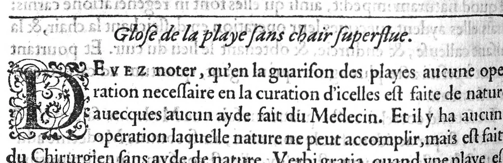 An illustration from Notabilia supra Guidonem scripta, aucta, recognita, ab excellenti Medicinae dilucidatore Domino Joanne Falcone, Montispessulanae Academiae Decano. Quae cum a multis antehac et typographis, et invidis depravata fuerint, ita ut falsa pro veris supposita, sed vera pro falsis, et utilia pro inutilibus perniciose substracta sint : nunc tamem ab omni labe repurgata, nec mediocri adhibita diligentia pristino nitori ac integritati restituta : imo vero additis duorum Medicinae luminum Hippocratis et Galeni, necnon Avicennae, Rhasis, Avenzoar, Mesuae, aliorumque insignium Medicorum autoritatibus illustrata sic recens in lucem emissa proferuntur, 1559, leaf 541