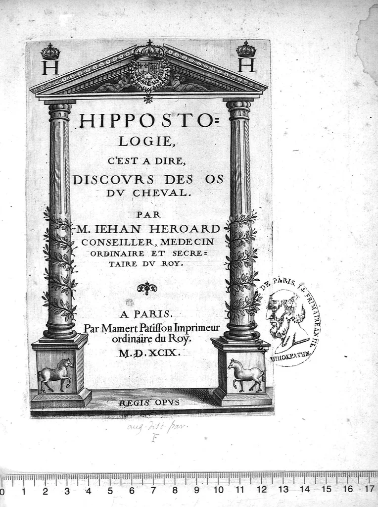 An illustration from Hippostologie, c'est à dire Discours des os du cheval, par M. Jehan Héroard, conseiller, médecin ordinaire et secrétaire du Roy, 1599, leaf 0