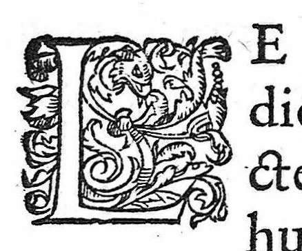 An illustration from Hippostologie, c'est à dire Discours des os du cheval, par M. Jehan Héroard, conseiller, médecin ordinaire et secrétaire du Roy, 1599, leaf 35