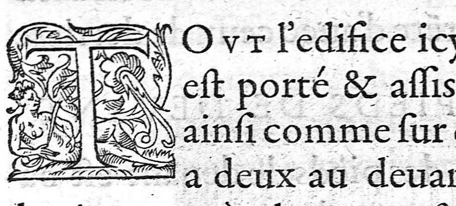 An illustration from Hippostologie, c'est à dire Discours des os du cheval, par M. Jehan Héroard, conseiller, médecin ordinaire et secrétaire du Roy, 1599, leaf 38