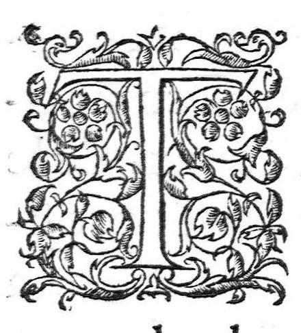 An illustration from Hippostologie, c'est à dire Discours des os du cheval, par M. Jehan Héroard, conseiller, médecin ordinaire et secrétaire du Roy, 1599, leaf 8