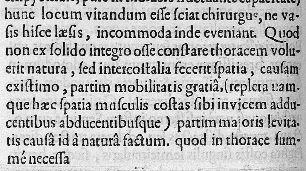 An illustration from Primitiae anatomicae. De humani corporis ossibus., 1633, leaf 131