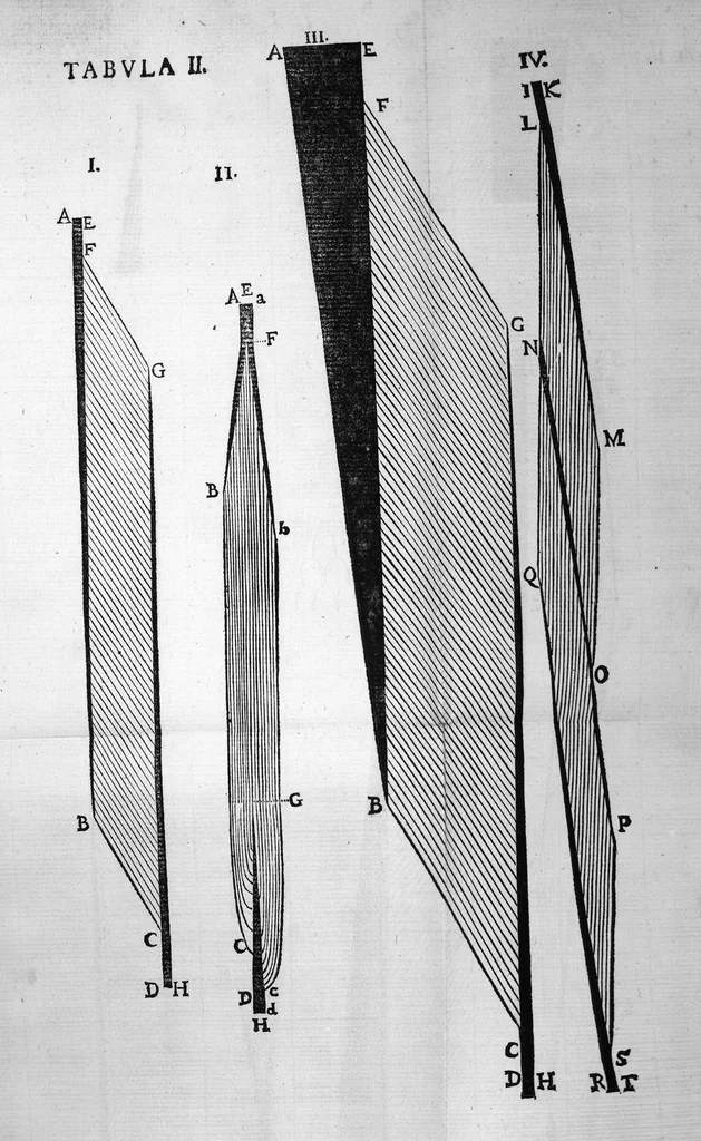 An illustration from Nicolai Stenonis Elementorum myologiae specimen, seu Musculi descriptio geometrica, cui accedunt canis carchariae dissectum caput et dissectus piscis ex canum genere..., 1667, leaf 132