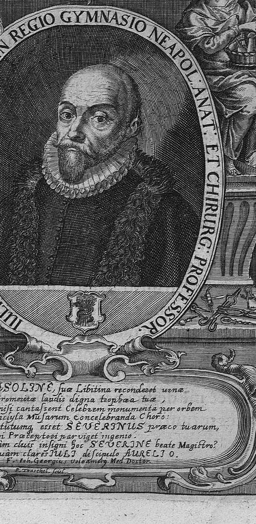 An illustration from Zootomia democritaea, id est anatome generalis totius animantium opificii : libris quinque distincta, quorum seriem sequens facies delineabit, 1645, leaf 6