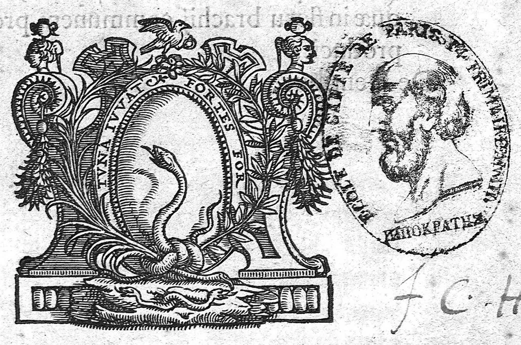 An illustration from Opuscula anatomica, 1564, leaf 0