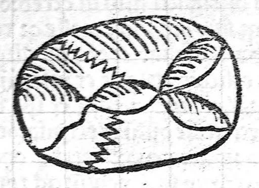 An illustration from Antropologium de hominis dignitate, natura, et proprietatibus; de elementis, partibus et membris humani corporis..., 1501, leaf 124