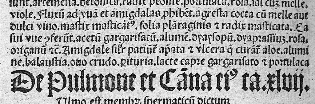 An illustration from Antropologium de hominis dignitate, natura, et proprietatibus; de elementis, partibus et membris humani corporis..., 1501, leaf 135
