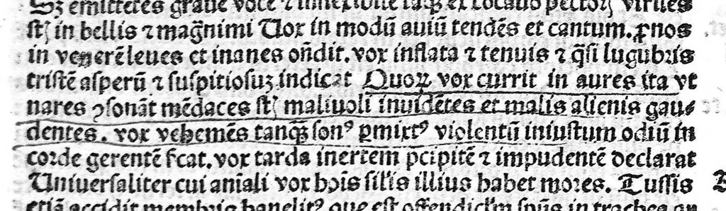 An illustration from Antropologium de hominis dignitate, natura, et proprietatibus; de elementis, partibus et membris humani corporis..., 1501, leaf 142