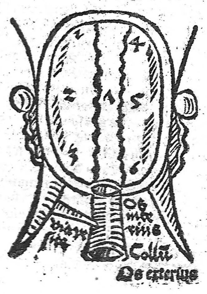 An illustration from Antropologium de hominis dignitate, natura, et proprietatibus; de elementis, partibus et membris humani corporis..., 1501, leaf 204