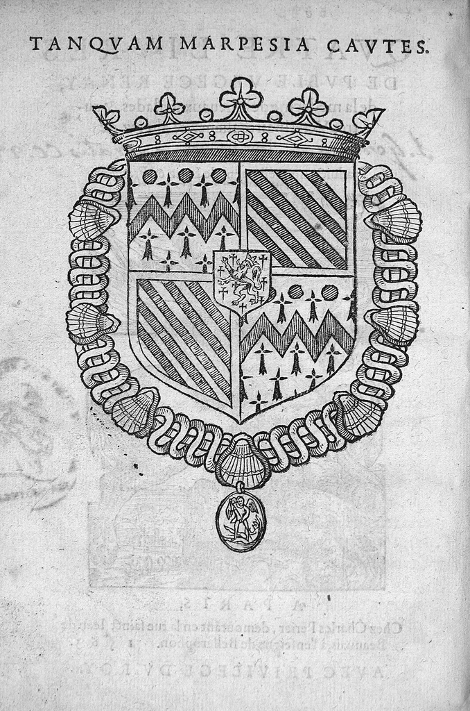 An illustration from Quatre livres de Puble Végèce Renay, de la Médecine des chevaux malades et autres vétérinaires aliénez et altérez de leur naturel, traduicts nouvellement de latin en françois, 1563, leaf 1